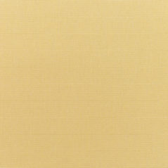 Sunbrella® Fabric 5414-0000 Canvas Wheat