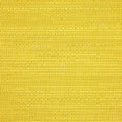 Sunbrella Fabric 8079-0000 Echo Citron