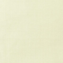 Sunbrella Fabric 8304-0000 Linen Natural