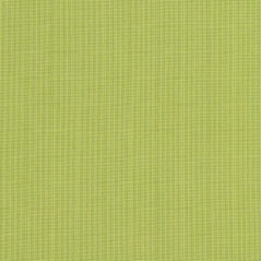 Sunbrella® Fabric 48023-0000 Spectrum Kiwi